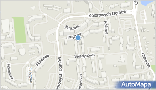 Podziemny, Seledynowa, Szczecin 70-781, 70-788 - Hydrant